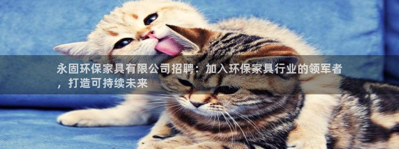 杏耀主管qq