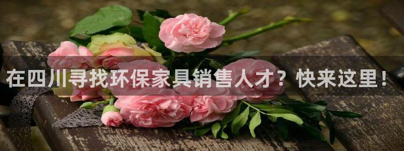 杏耀测速网址电脑版