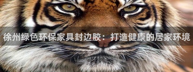 杏耀平台注册入口