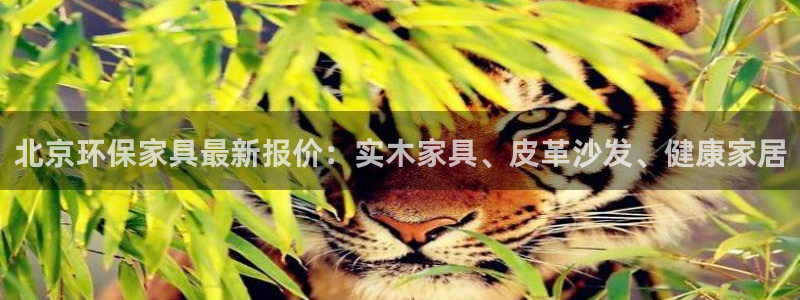 杏耀客户端登陆