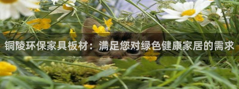 杏耀官网游戏