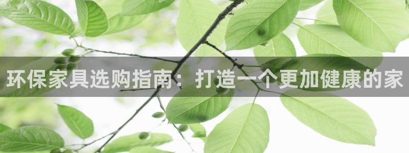杏耀官网主管
