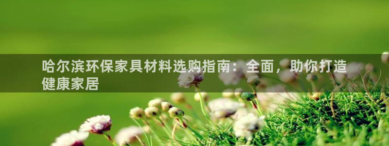 杏耀代理日工资多少
