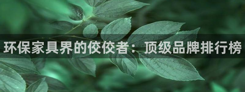 杏耀平台在线注册：环保家具界的佼佼者：顶级品牌排行榜