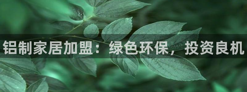 杏耀客户端登录：铝制家居加盟：绿色环保，投资良机