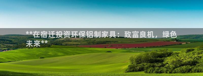 杏耀注册开户：**在宿迁投资环保铝制家具：致富良机，绿色
未