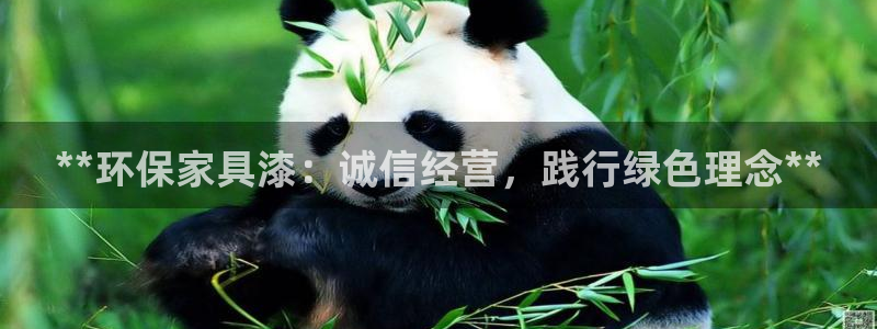 杏耀代理主管qq