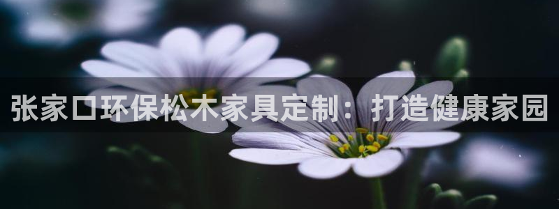 杏耀平台服务中心是干嘛的