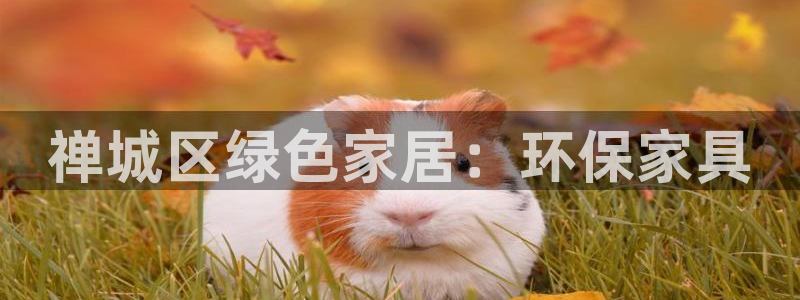 杏耀平台黑款