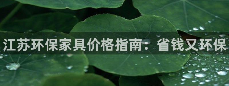 杏耀软件