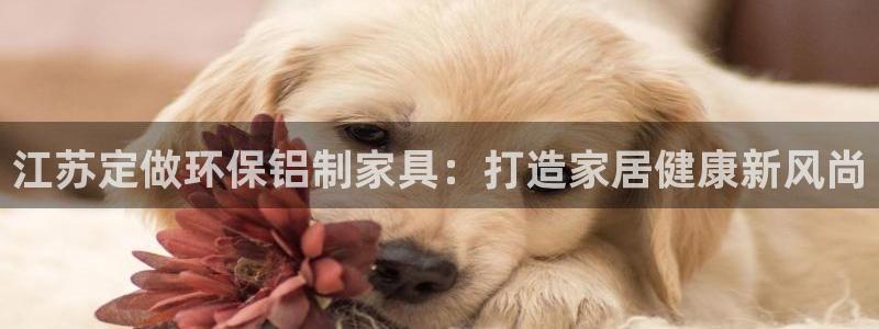 杏耀平台登录入口