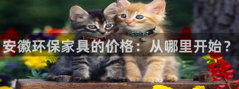 杏耀登入官网