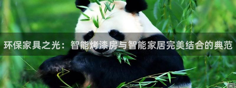 杏耀登陆电脑线路测速：环保家具之光：智能烤漆房与智能家居完美