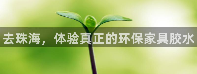 杏耀代理日工资多少：去珠海，体验真正的环保家具胶水