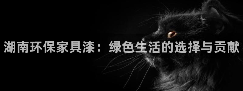 杏耀平台代理怎么赚钱：湖南环保家具漆：绿色生活的选择与贡献