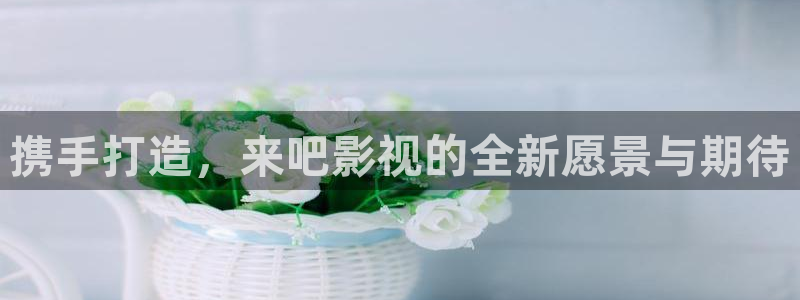 eesuu影院：携手打造，来吧影视的全新愿景与期待