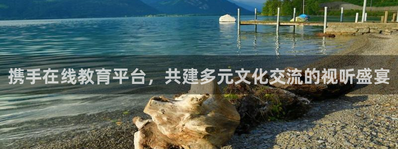 eeuus影院：携手在线教育平台，共建多元文化交流的视听盛宴