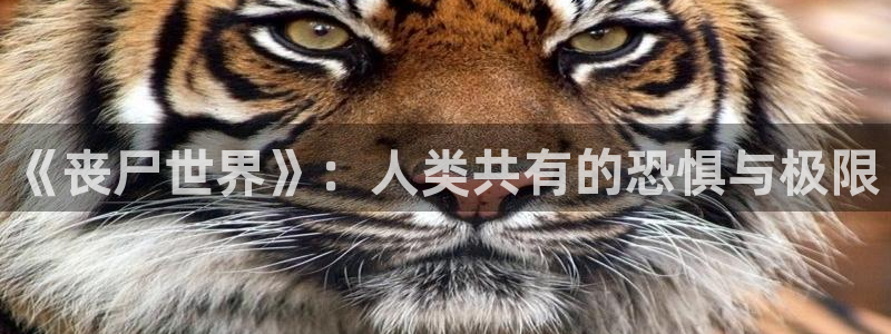 uu午夜影院：《丧尸世界》：人类共有的恐惧与极限