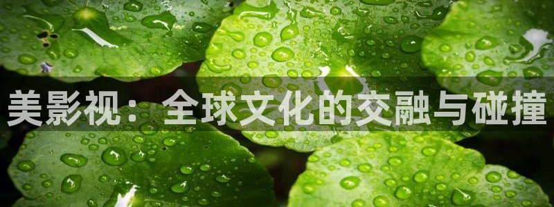 26uuu汤姆影院：美影视：全球文化的交融与碰撞