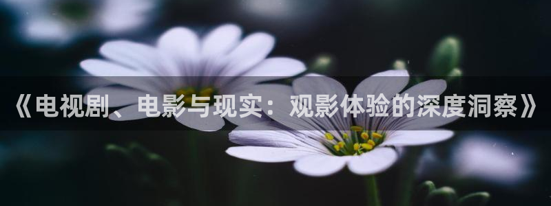 奇米影视26uuu：《电视剧、电影与现实：观影体验的深度洞察》