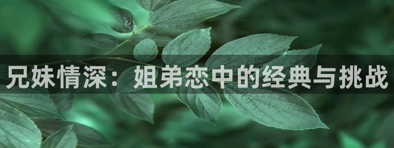 秋霞电影院26uuu：兄妹情深：姐弟恋中的经典与挑战
