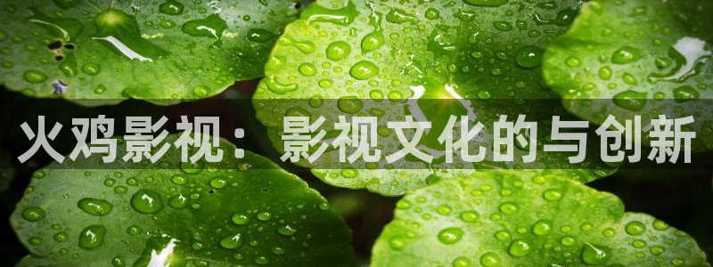 26uuu汤姆影院：火鸡影视：影视文化的与创新